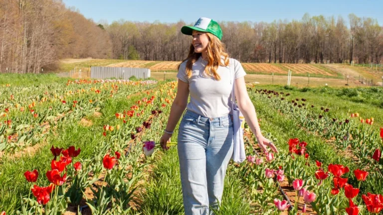 Preppy Outfits for Women That Feel Classic and Modern