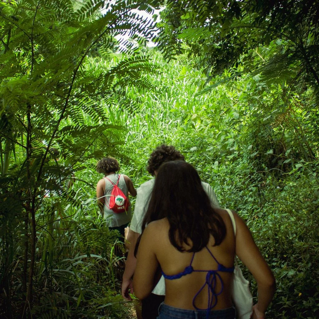 Jungle Trails Call For Different Choices Than Beach Afternoons