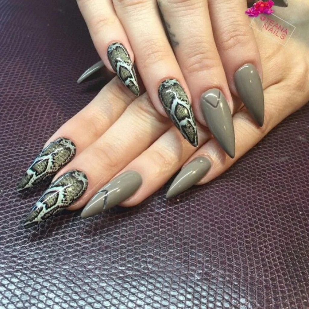 Snake Skin Texture